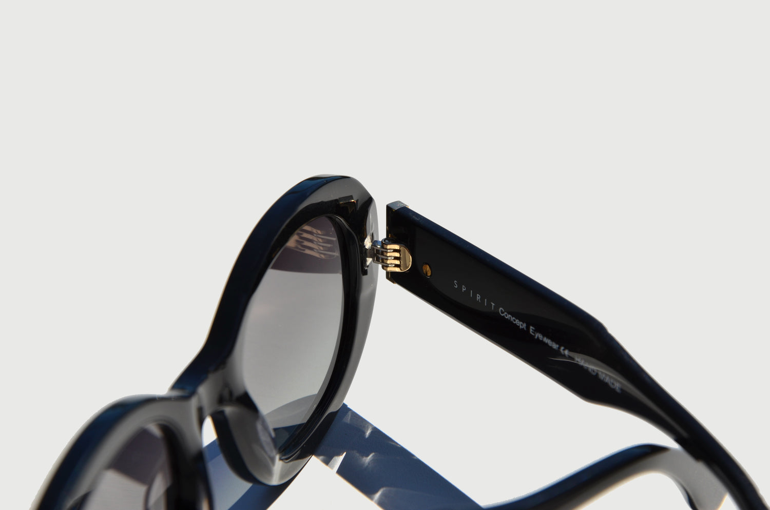 Close up black sunglass lens arm folded gold hinge